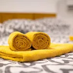Lion 波尔托罗